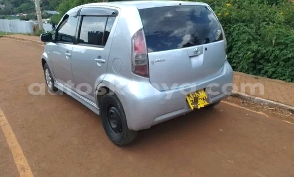 Oofamaa Toyota Passo Other Makiinaa iti Bute keessatti Northeast Kenya keessatti Oofamaa Toyota Passo Other Makiinaa iti Bute keessatti Northeast Kenya keessatti