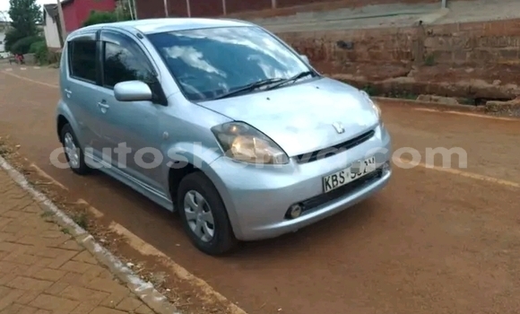 Buy Used Toyota Passo Other Car in Bute in Northeast Kenya Buy Used Toyota Passo Other Car in Bute in Northeast Kenya