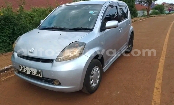 Buy Used Toyota Passo Other Car in Bute in Northeast Kenya Buy Used Toyota Passo Other Car in Bute in Northeast Kenya