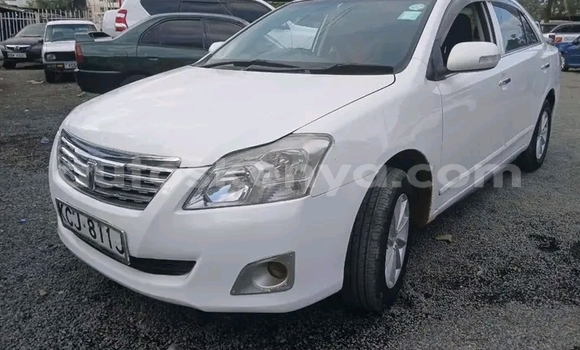 Buy Used Toyota Premio White Car in Bute in Northeast Kenya Buy Used Toyota Premio White Car in Bute in Northeast Kenya