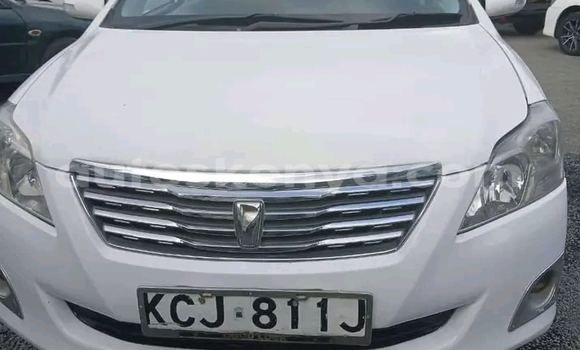 Buy Used Toyota Premio White Car in Bute in Northeast Kenya Buy Used Toyota Premio White Car in Bute in Northeast Kenya