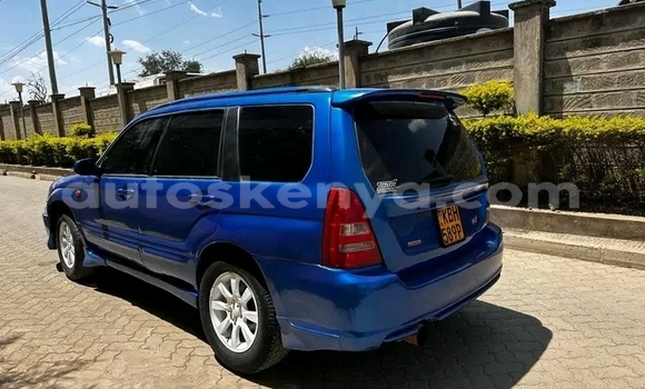 Buy Used Subaru Forester Blue Car in Bute in Northeast Kenya Buy Used Subaru Forester Blue Car in Bute in Northeast Kenya