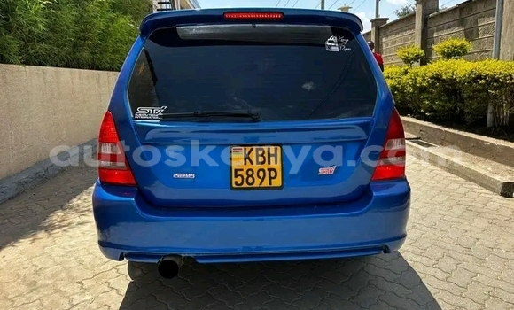 Buy Used Subaru Forester Blue Car in Bute in Northeast Kenya Buy Used Subaru Forester Blue Car in Bute in Northeast Kenya