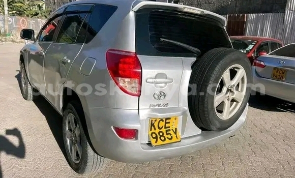 Buy Used Toyota RAV4 Other Car in Bute in Northeast Kenya