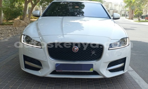Oofamaa Jaguar XF White Makiinaa iti Nairobi keessatti Nairobi keessatti Oofamaa Jaguar XF White Makiinaa iti Nairobi keessatti Nairobi keessatti