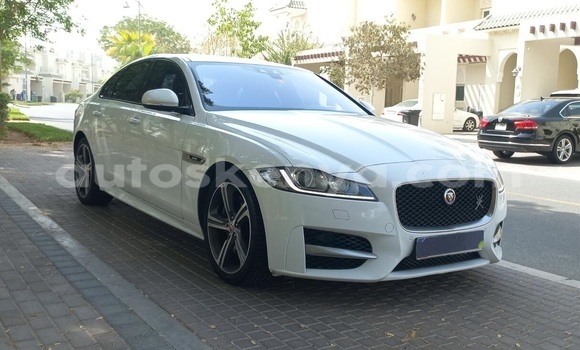 Oofamaa Jaguar XF White Makiinaa iti Nairobi keessatti Nairobi keessatti Oofamaa Jaguar XF White Makiinaa iti Nairobi keessatti Nairobi keessatti