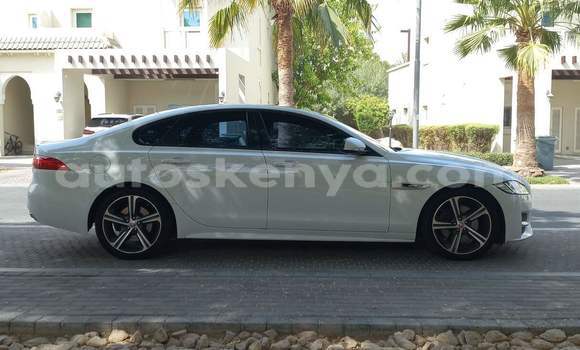 Oofamaa Jaguar XF White Makiinaa iti Nairobi keessatti Nairobi keessatti Oofamaa Jaguar XF White Makiinaa iti Nairobi keessatti Nairobi keessatti
