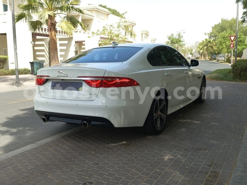 Big with watermark jaguar xf nairobi nairobi 26186