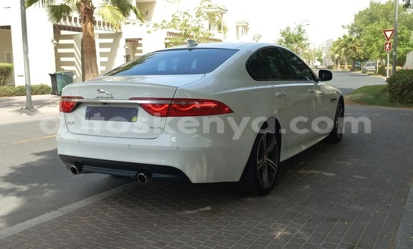 Oofamaa Jaguar XF White Makiinaa iti Nairobi keessatti Nairobi keessatti Oofamaa Jaguar XF White Makiinaa iti Nairobi keessatti Nairobi keessatti