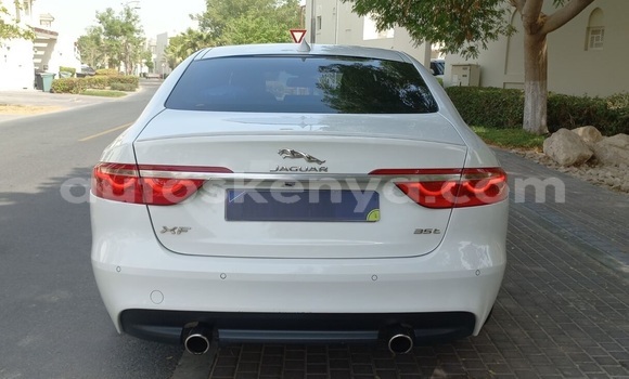 Oofamaa Jaguar XF White Makiinaa iti Nairobi keessatti Nairobi keessatti Oofamaa Jaguar XF White Makiinaa iti Nairobi keessatti Nairobi keessatti