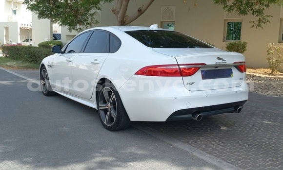 Oofamaa Jaguar XF White Makiinaa iti Nairobi keessatti Nairobi keessatti Oofamaa Jaguar XF White Makiinaa iti Nairobi keessatti Nairobi keessatti