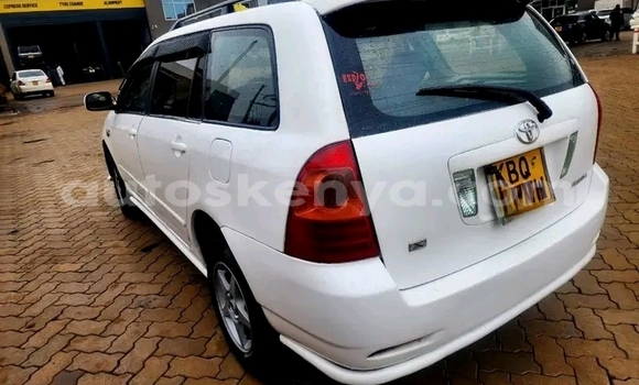 Buy Used Toyota Probox White Car in Bute in Northeast Kenya