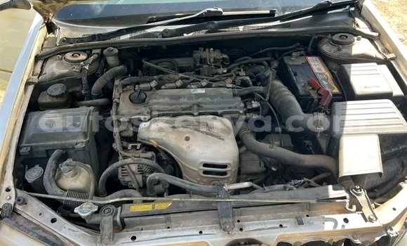 Nunua Ilio tumika Toyota Vista Nyeupe Gari ndani ya Changamwe nchini Pwani Nunua Ilio tumika Toyota Vista Nyeupe Gari ndani ya Changamwe nchini Pwani