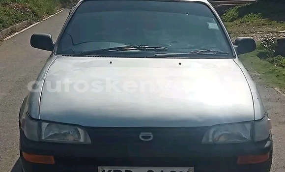 Buy Used Toyota Duet White Car in Bute in Northeast Kenya Buy Used Toyota Duet White Car in Bute in Northeast Kenya