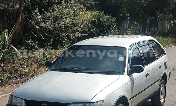 Buy Used Toyota Duet White Car in Bute in Northeast Kenya Buy Used Toyota Duet White Car in Bute in Northeast Kenya
