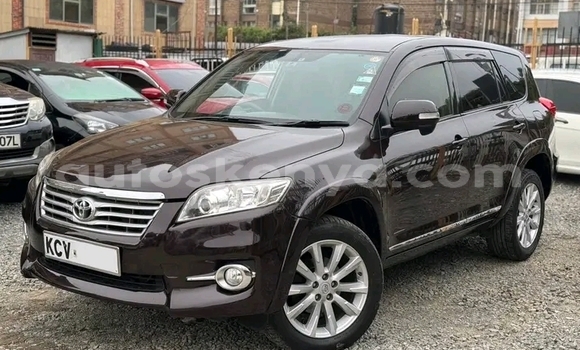 Buy Used Toyota Vanguard Other Car in Bute in Northeast Kenya Buy Used Toyota Vanguard Other Car in Bute in Northeast Kenya