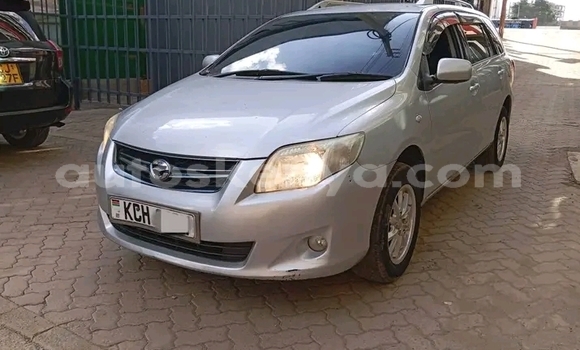 Buy Used Toyota Fielder White Car in Bute in Northeast Kenya Buy Used Toyota Fielder White Car in Bute in Northeast Kenya