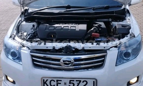 Buy Used Toyota Fielder White Car in Bute in Northeast Kenya Buy Used Toyota Fielder White Car in Bute in Northeast Kenya