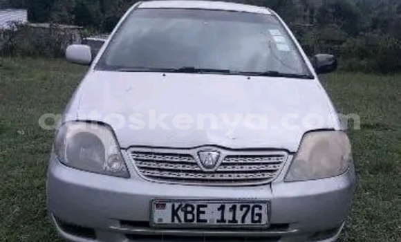 Buy Used Toyota Allex Other Car in Bute in Northeast Kenya Buy Used Toyota Allex Other Car in Bute in Northeast Kenya