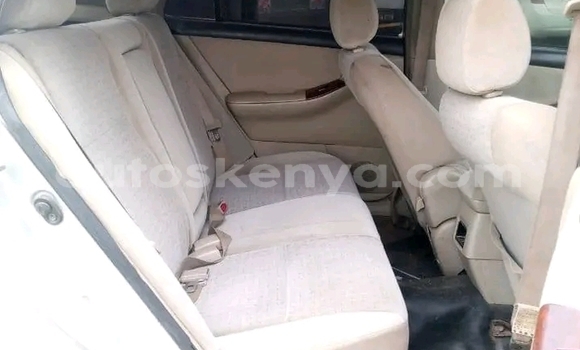 Buy Used Toyota Allex Other Car in Bute in Northeast Kenya Buy Used Toyota Allex Other Car in Bute in Northeast Kenya