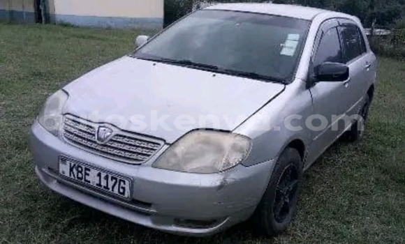 Buy Used Toyota Allex Other Car in Bute in Northeast Kenya Buy Used Toyota Allex Other Car in Bute in Northeast Kenya