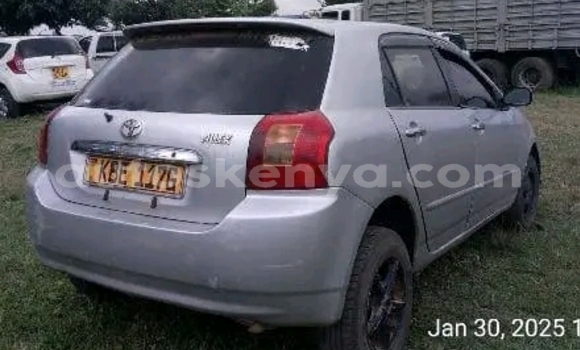 Buy Used Toyota Allex Other Car in Bute in Northeast Kenya Buy Used Toyota Allex Other Car in Bute in Northeast Kenya