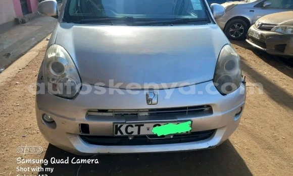 Oofamaa Toyota Passo Other Makiinaa iti Bute keessatti Northeast Kenya keessatti Oofamaa Toyota Passo Other Makiinaa iti Bute keessatti Northeast Kenya keessatti