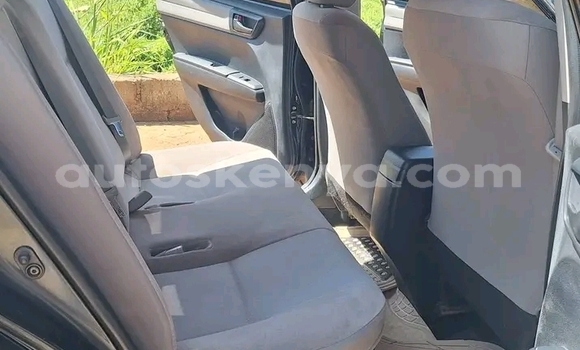 Oofamaa Toyota Axio Black Makiinaa iti Bungoma keessatti West Kenya keessatti Oofamaa Toyota Axio Black Makiinaa iti Bungoma keessatti West Kenya keessatti