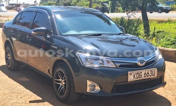 Oofamaa Toyota Axio Black Makiinaa iti Bungoma keessatti West Kenya keessatti Oofamaa Toyota Axio Black Makiinaa iti Bungoma keessatti West Kenya keessatti