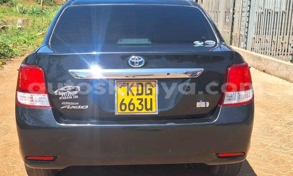 Oofamaa Toyota Axio Black Makiinaa iti Bungoma keessatti West Kenya keessatti Oofamaa Toyota Axio Black Makiinaa iti Bungoma keessatti West Kenya keessatti