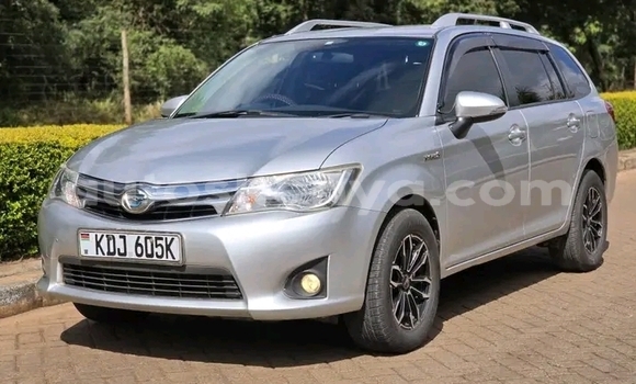 Oofamaa Toyota Fielder Other Makiinaa iti Bute keessatti Northeast Kenya keessatti Oofamaa Toyota Fielder Other Makiinaa iti Bute keessatti Northeast Kenya keessatti