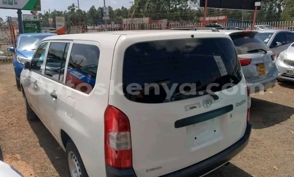 Oofamaa Toyota Probox White Makiinaa iti Bute keessatti Northeast Kenya keessatti Oofamaa Toyota Probox White Makiinaa iti Bute keessatti Northeast Kenya keessatti