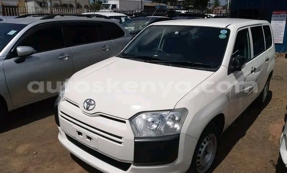 Oofamaa Toyota Probox White Makiinaa iti Bute keessatti Northeast Kenya keessatti Oofamaa Toyota Probox White Makiinaa iti Bute keessatti Northeast Kenya keessatti