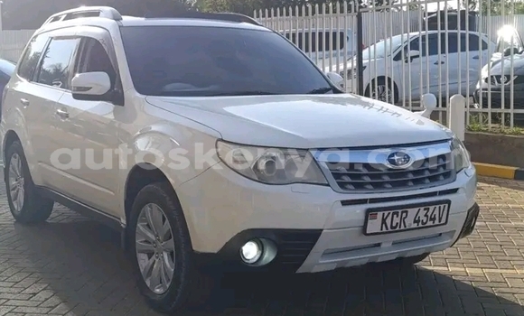 Oofamaa Subaru Forester White Makiinaa iti Bute keessatti Northeast Kenya keessatti Oofamaa Subaru Forester White Makiinaa iti Bute keessatti Northeast Kenya keessatti