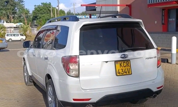 Oofamaa Subaru Forester White Makiinaa iti Bute keessatti Northeast Kenya keessatti Oofamaa Subaru Forester White Makiinaa iti Bute keessatti Northeast Kenya keessatti