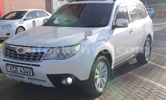 Oofamaa Subaru Forester White Makiinaa iti Bute keessatti Northeast Kenya keessatti Oofamaa Subaru Forester White Makiinaa iti Bute keessatti Northeast Kenya keessatti