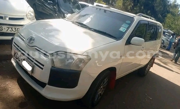 Oofamaa Toyota Probox White Makiinaa iti Bute keessatti Northeast Kenya keessatti Oofamaa Toyota Probox White Makiinaa iti Bute keessatti Northeast Kenya keessatti