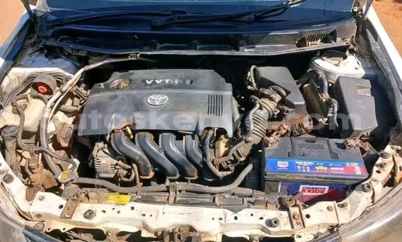 Oofamaa Toyota Allion White Makiinaa iti Bute keessatti Northeast Kenya keessatti Oofamaa Toyota Allion White Makiinaa iti Bute keessatti Northeast Kenya keessatti