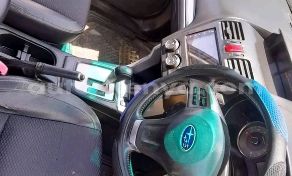Oofamaa Subaru Forester Other Makiinaa iti Bute keessatti Northeast Kenya keessatti Oofamaa Subaru Forester Other Makiinaa iti Bute keessatti Northeast Kenya keessatti