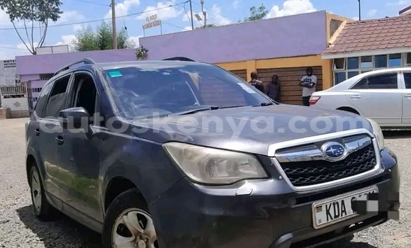 Oofamaa Subaru Forester Other Makiinaa iti Bute keessatti Northeast Kenya keessatti Oofamaa Subaru Forester Other Makiinaa iti Bute keessatti Northeast Kenya keessatti