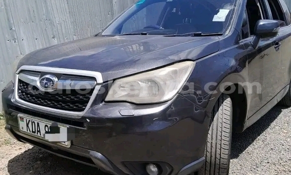 Oofamaa Subaru Forester Other Makiinaa iti Bute keessatti Northeast Kenya keessatti Oofamaa Subaru Forester Other Makiinaa iti Bute keessatti Northeast Kenya keessatti