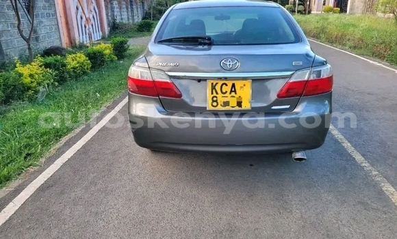 Oofamaa Toyota Premio Other Makiinaa iti Bute keessatti Northeast Kenya keessatti Oofamaa Toyota Premio Other Makiinaa iti Bute keessatti Northeast Kenya keessatti