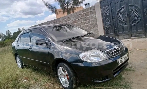 Buy Used Toyota Nadia Black Car in Bute in Northeast Kenya
