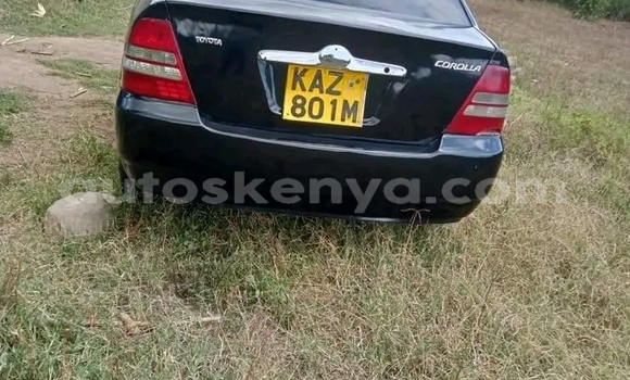 Oofamaa Toyota Nadia Black Makiinaa iti Bute keessatti Northeast Kenya keessatti Oofamaa Toyota Nadia Black Makiinaa iti Bute keessatti Northeast Kenya keessatti
