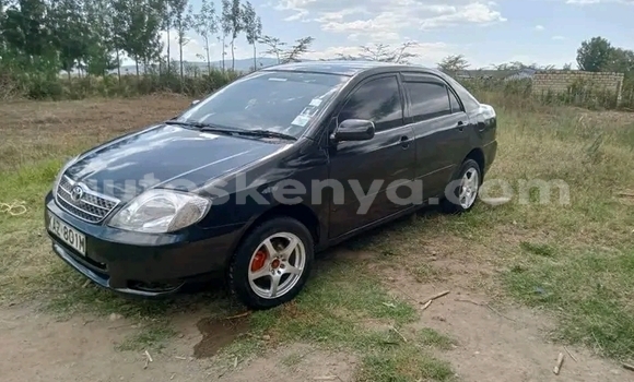 Oofamaa Toyota Nadia Black Makiinaa iti Bute keessatti Northeast Kenya keessatti Oofamaa Toyota Nadia Black Makiinaa iti Bute keessatti Northeast Kenya keessatti