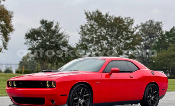 Buy Used Dodge Challenger Red Car in Nyamira in Nyanza Buy Used Dodge Challenger Red Car in Nyamira in Nyanza