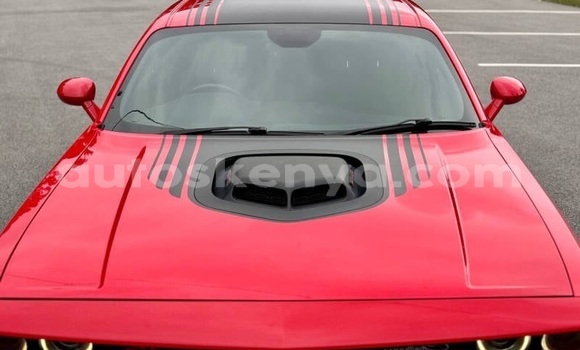 Buy Used Dodge Challenger Red Car in Nyamira in Nyanza Buy Used Dodge Challenger Red Car in Nyamira in Nyanza