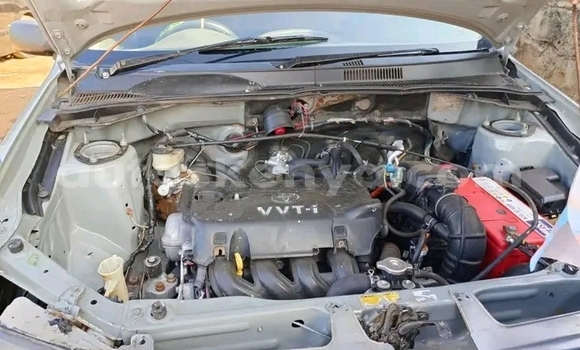 Buy Used Toyota Probox Other Car in Bute in Northeast Kenya Buy Used Toyota Probox Other Car in Bute in Northeast Kenya