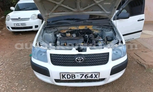 Buy Used Toyota Succeed White Car in Busia in West Kenya Buy Used Toyota Succeed White Car in Busia in West Kenya