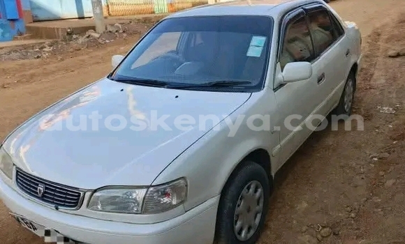 Oofamaa Toyota 2000GT White Makiinaa iti Changamwe keessatti Coast keessatti